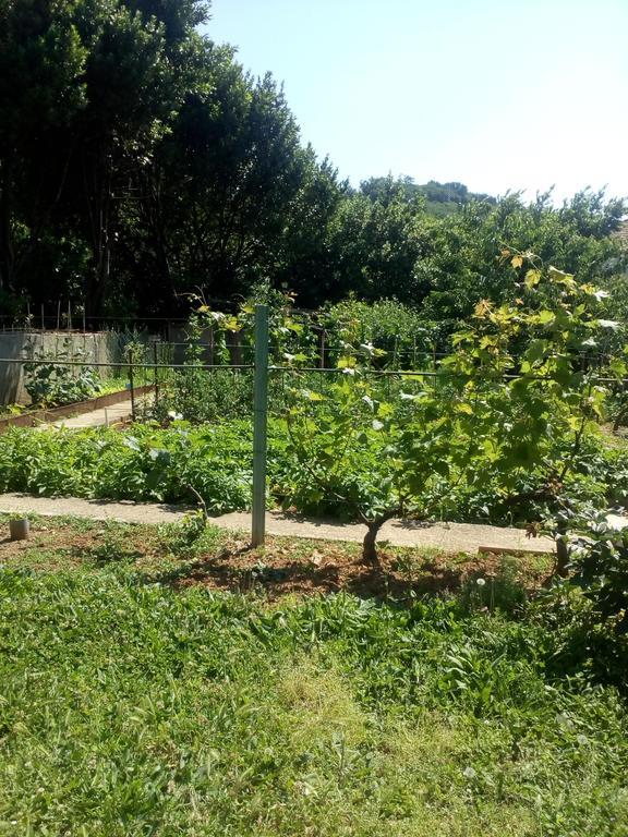 Jedro Apartmani 헤르섹 외부 사진